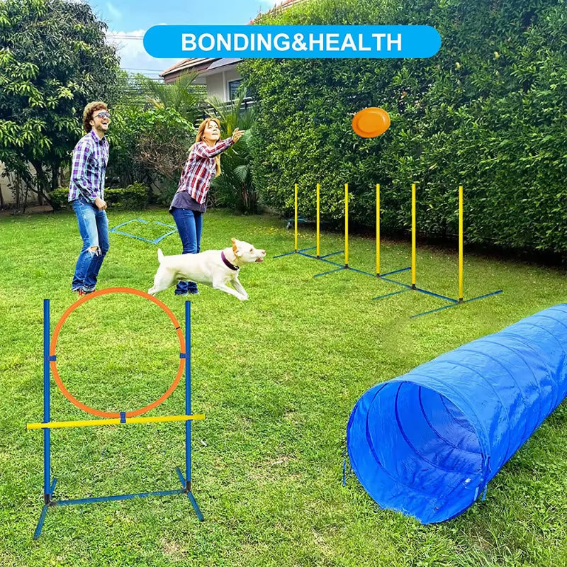 Pet Agility Training Tunnel Interactive Dog Obstacle Course Oxford Cloth Runway for Outdoor Games and Training