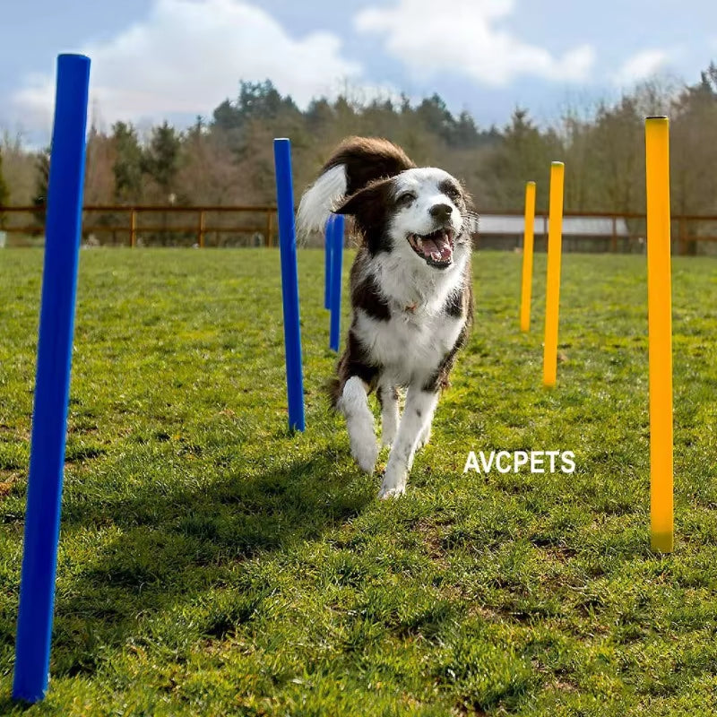 Pet Agility Training Tunnel Interactive Dog Obstacle Course Oxford Cloth Runway for Outdoor Games and Training