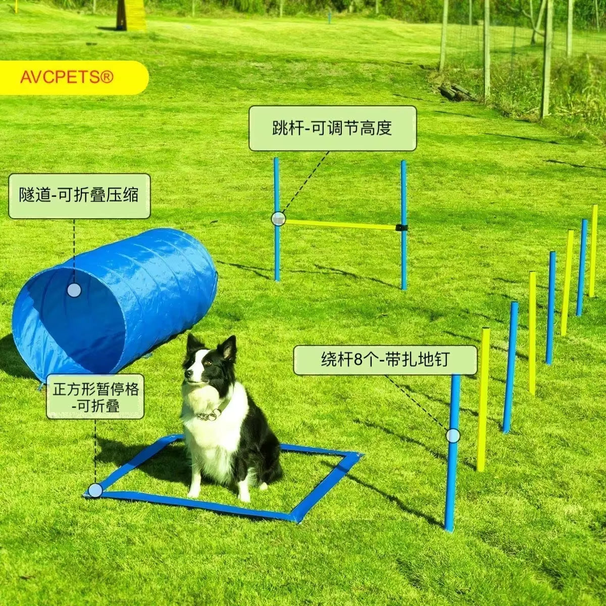 Pet Agility Training Tunnel Interactive Dog Obstacle Course Oxford Cloth Runway for Outdoor Games and Training