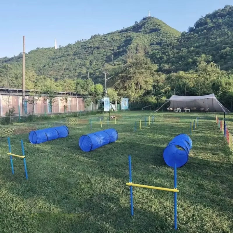 Pet Agility Training Tunnel Interactive Dog Obstacle Course Oxford Cloth Runway for Outdoor Games and Training