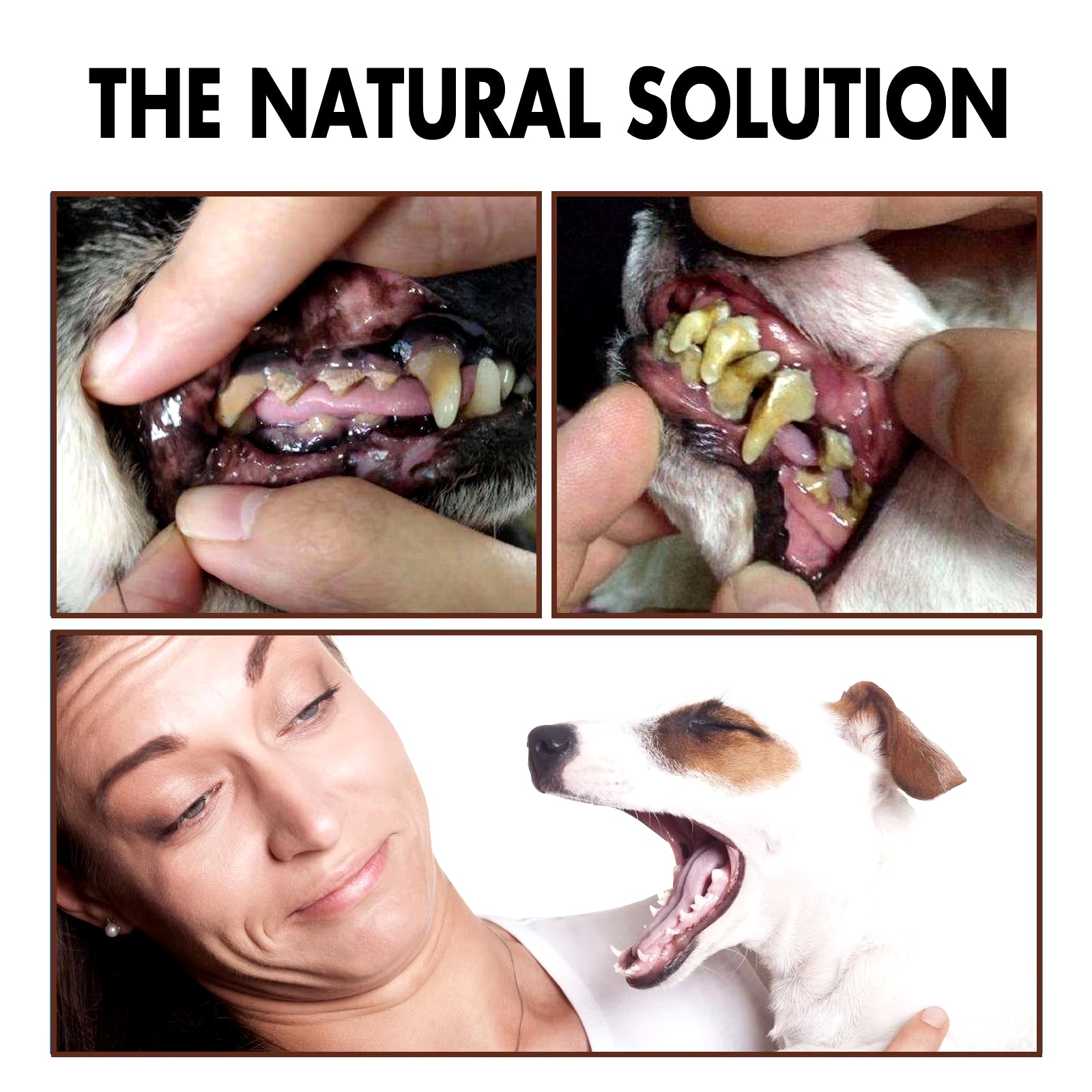 Pet Tooth Cleaning Spray Dogs Remove Bad Breath Freshener Cats Oral Cleaning Dental Care Deodorization Spray Pet Supplies 30Ml