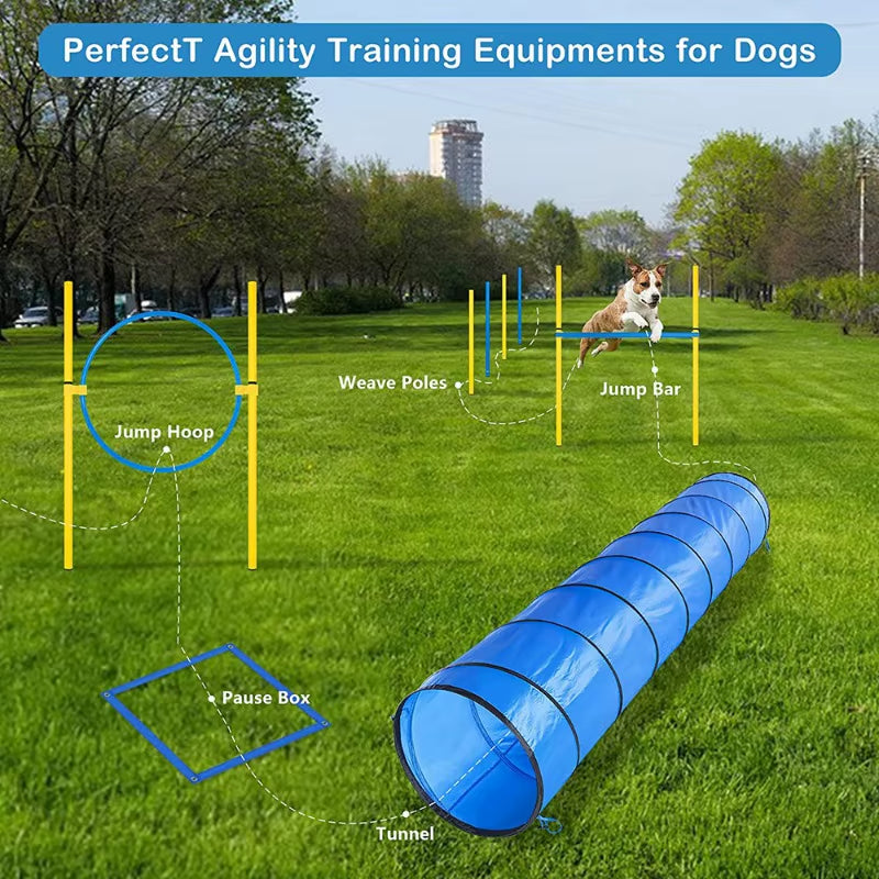 Pet Agility Training Tunnel Interactive Dog Obstacle Course Oxford Cloth Runway for Outdoor Games and Training