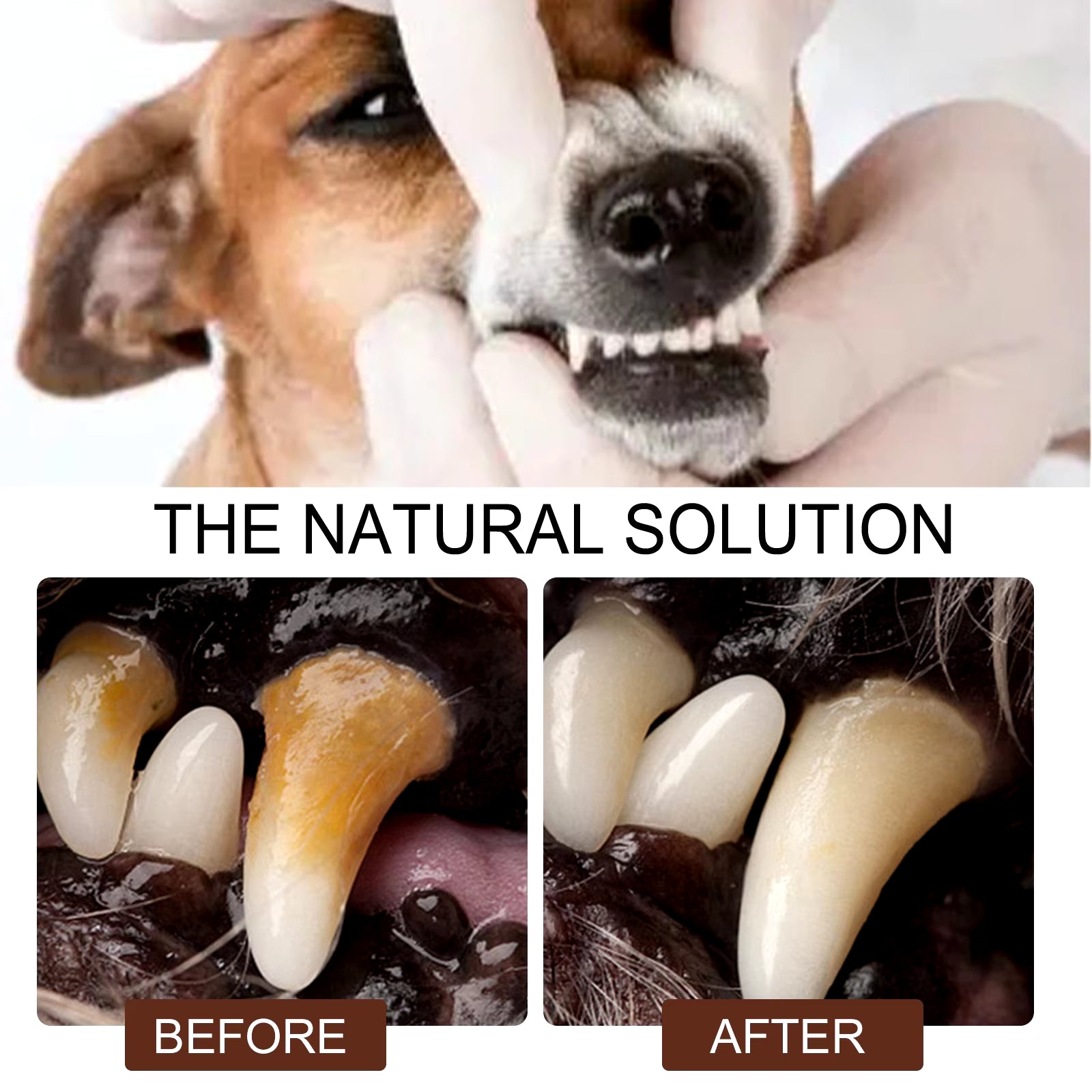 Pet Tooth Cleaning Spray Dogs Remove Bad Breath Freshener Cats Oral Cleaning Dental Care Deodorization Spray Pet Supplies 30Ml